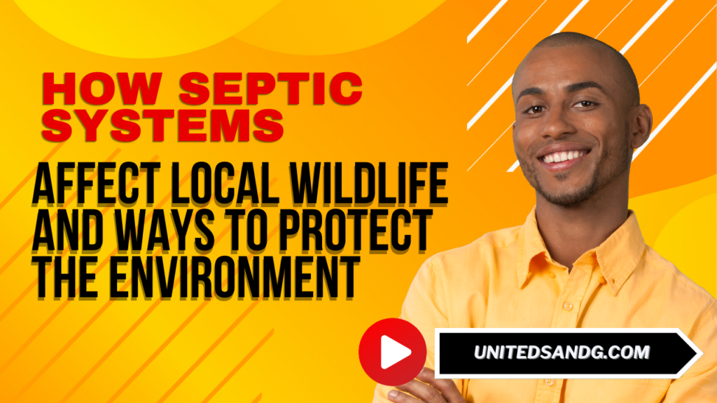 United Septic and Grease: How Septic Systems Affect Local Wildlife and Ways to Protect the Environment
