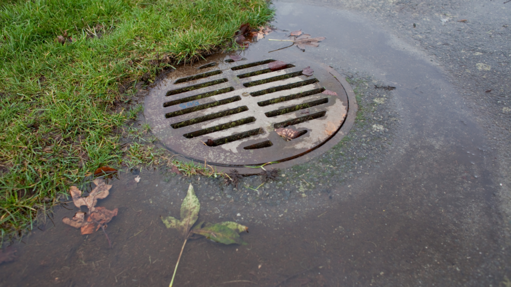 United Septic and Grease: parking lot drain repair - Image 2