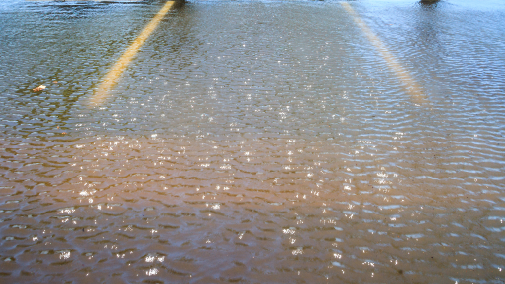 United Septic and Grease: parking lot drains -image 25