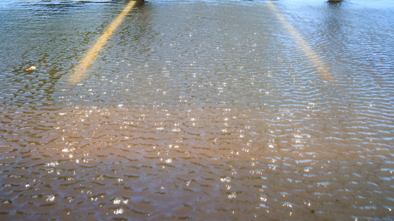 United Septic and Grease: parking lot drains -image 25