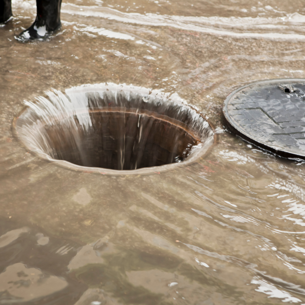 United Septic and Grease: The Environmental Impact of Proper Septic Clean Out pic 4